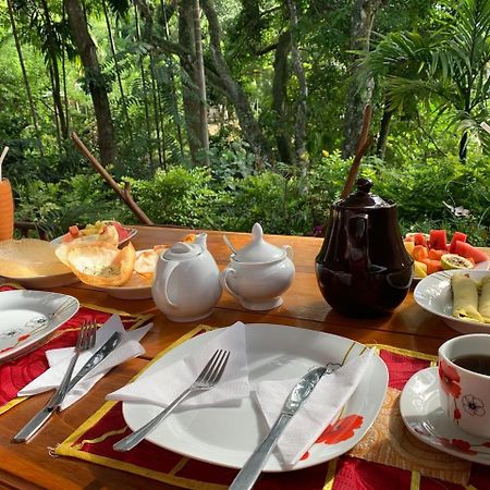 Mango Shadow Inn エッラ エクステリア 写真